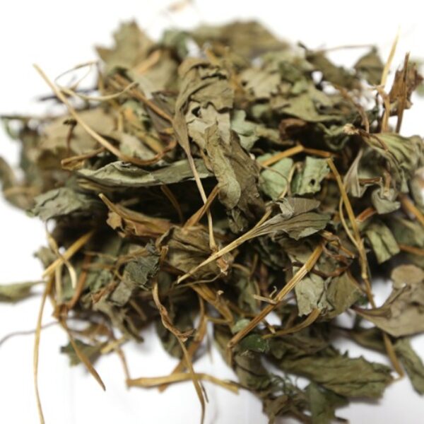 [한국산] 어성초 Houttuynia Cordata 40g