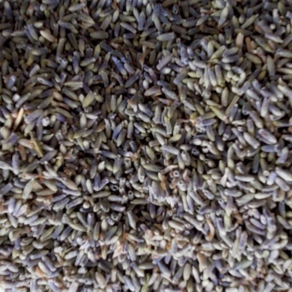 말린 라벤더 꽃 Dried Lavender Flowers 4oz (120g)